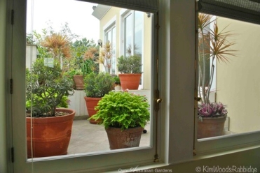 The view to the garden from inside is of colourful pots and a cheery landscape.