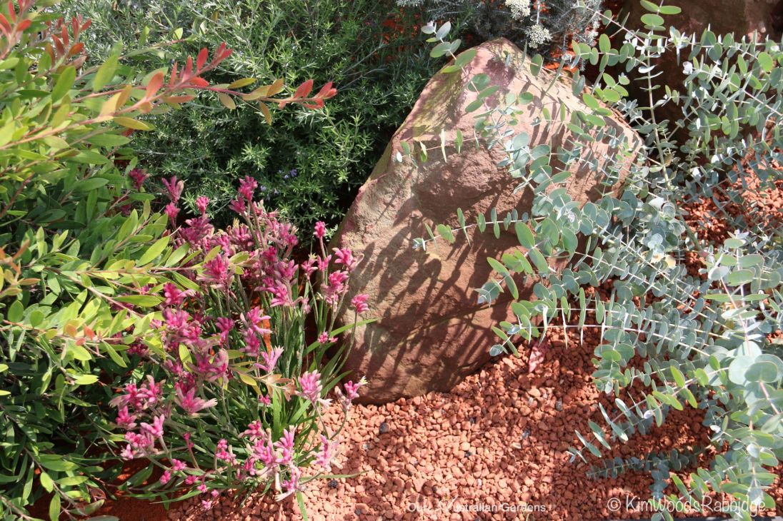 Man-made 'rocks' and red gravel sourced from Wales are the perfect foil for delicate plantings.